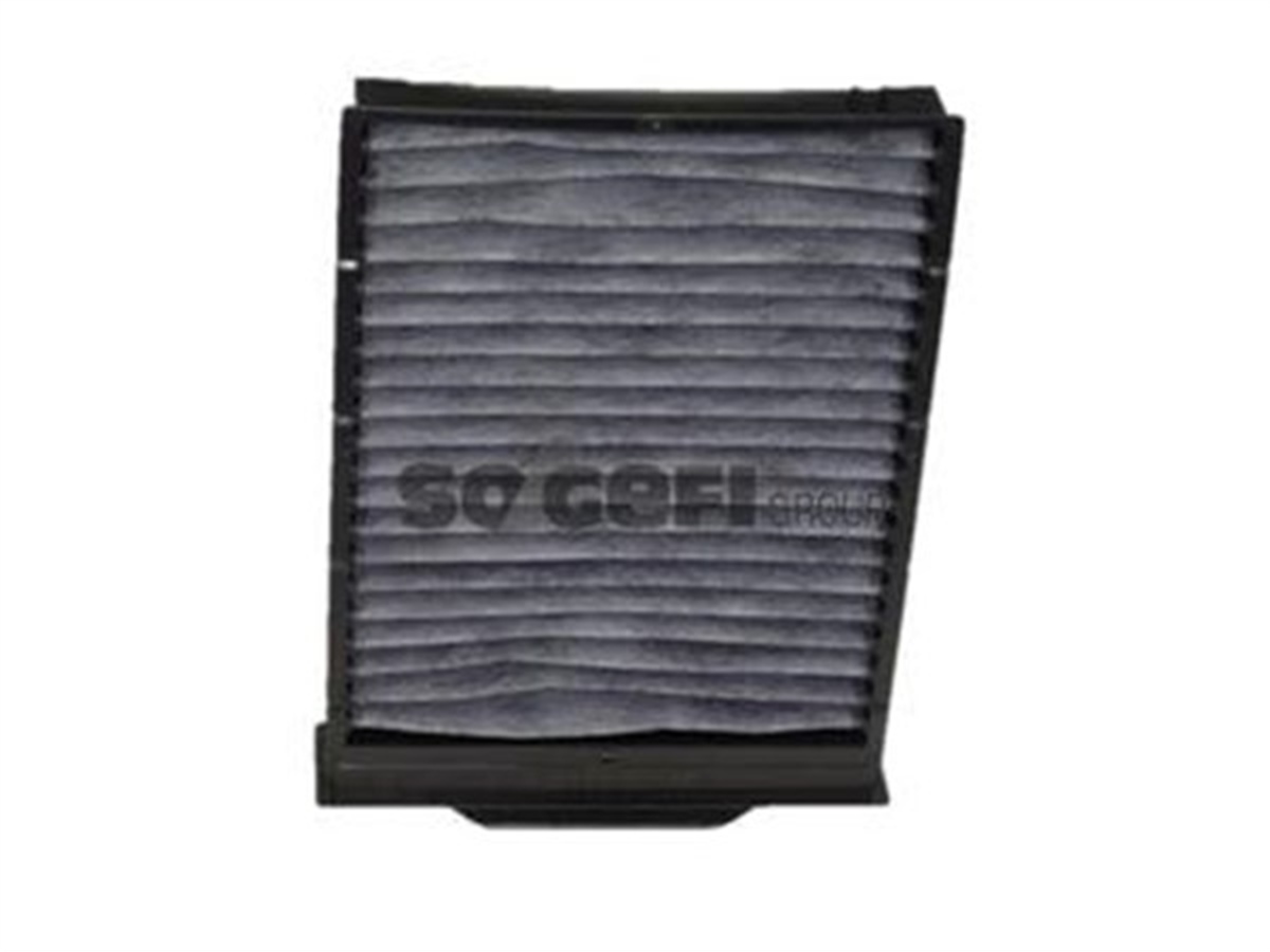 MEGANEPOLEN FİLTRESİ MEGANE II TÜM MODELLER 02 ÇERÇEVELİ KARBONLU PURFLUX AHC199PURFLUXPURFLUX AHC199