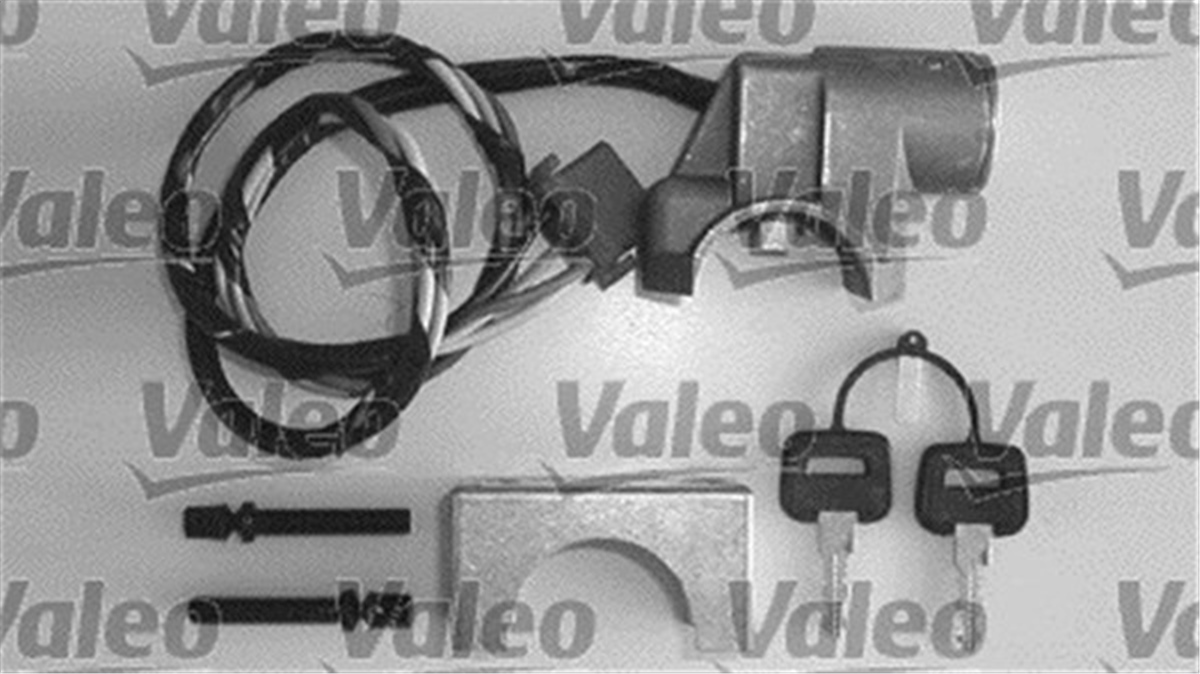 YEDEK PARÇAKİLİTLİ KONTAK DAF VALEO 256499VALEOVALEO 256499