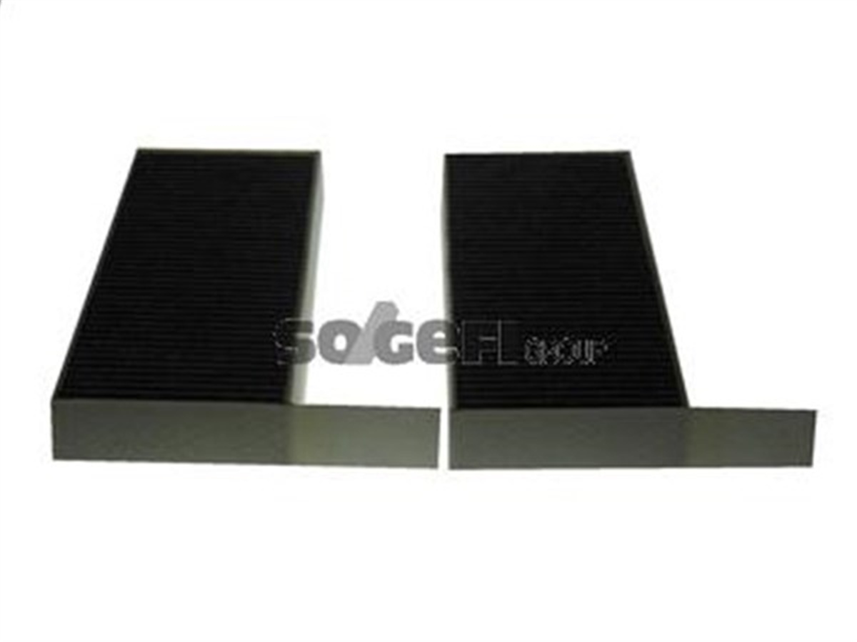 YEDEK PARÇAPOLEN FİLTRESİ P308 II 1.2-1.6-2.0 13 KARBONLU PURFLUX AHC425-2PURFLUXPURFLUX AHC425-2