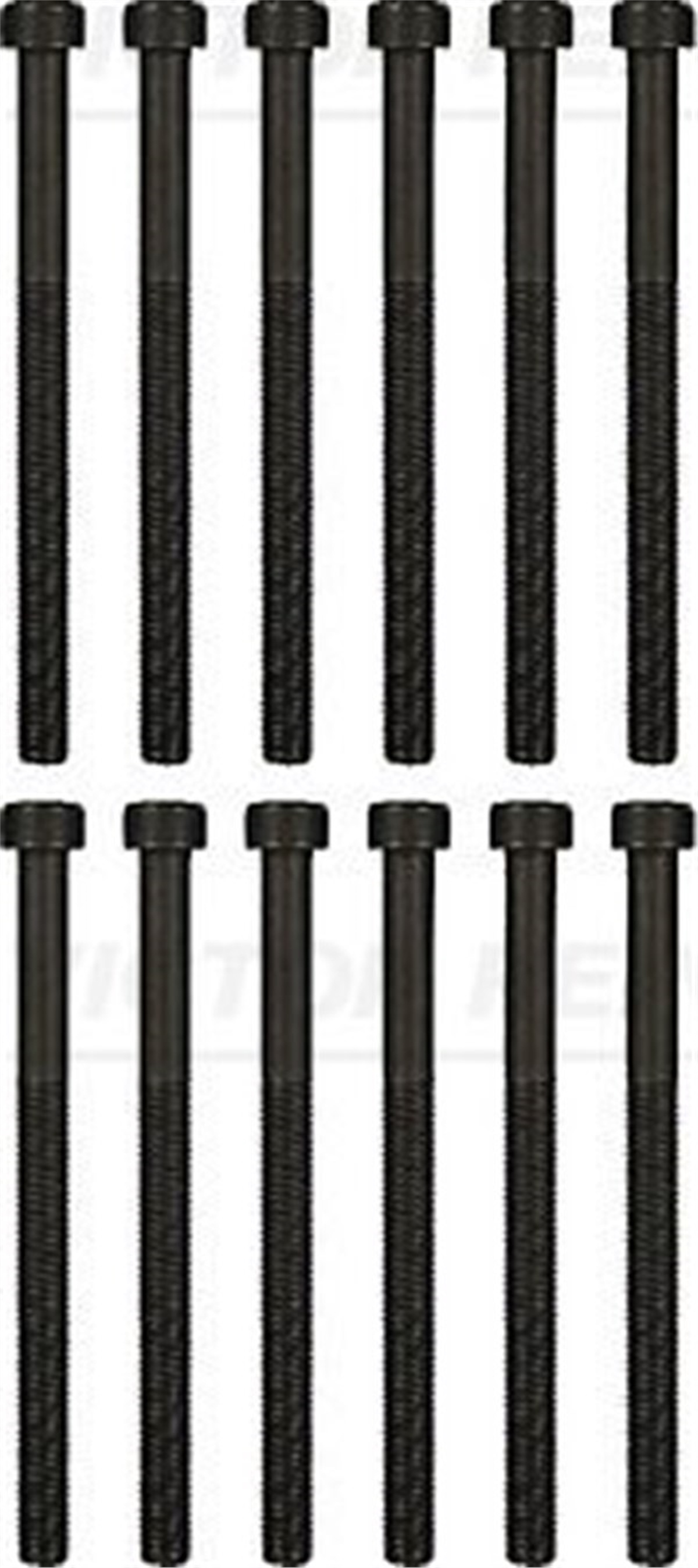 YEDEK PARÇASİLİNDİR KAPAK SAPLAMASI TOUREG 03-10 MULTIVAN V-T5 V.REINZ 143219001V.REINZV.REINZ 143219001