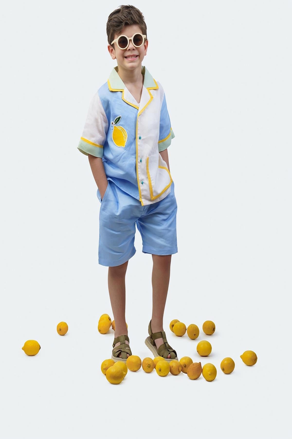 Limon Nakış Detaylı Erkek Çocuk Gömlek mkn2014