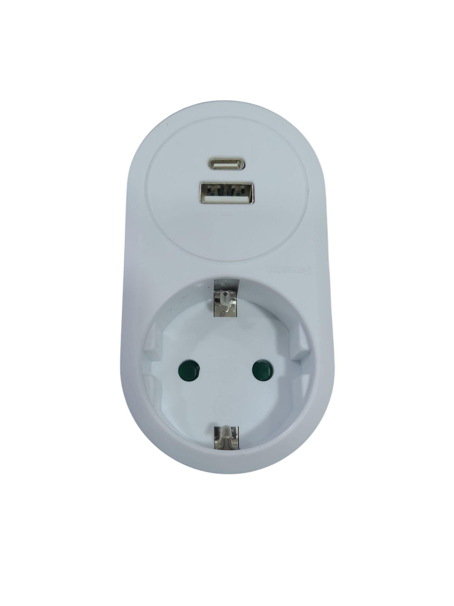 Famatel Tekli Golyat USB + TypeC Adaptör 3.4A