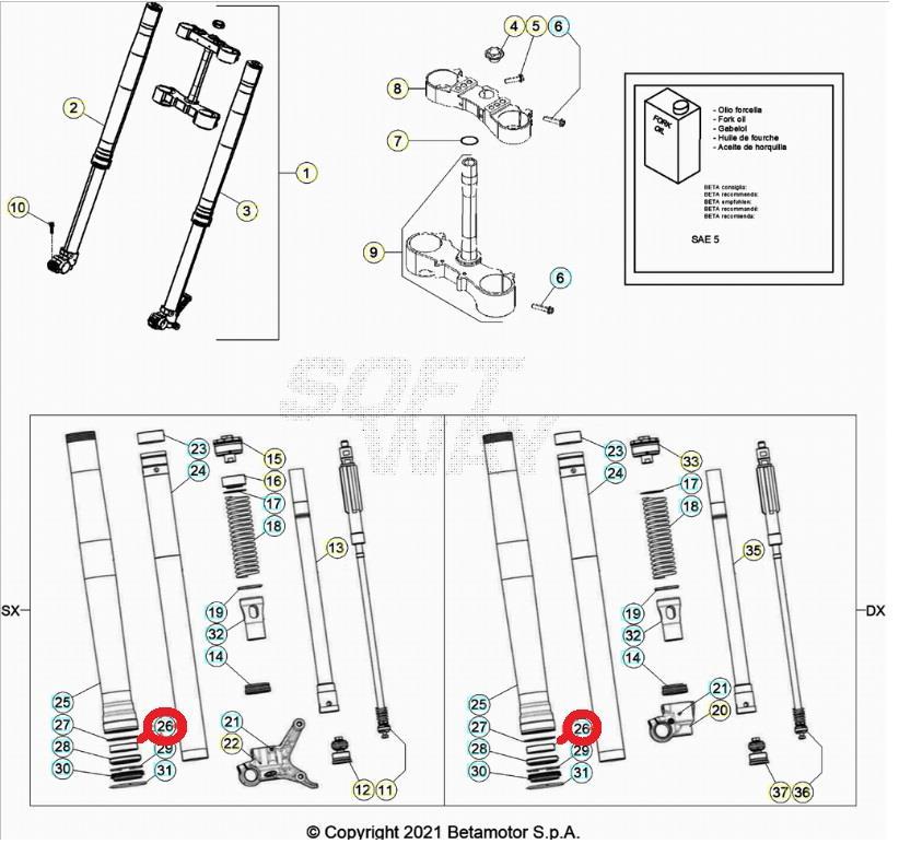BUSH BETA ORJ YP B4