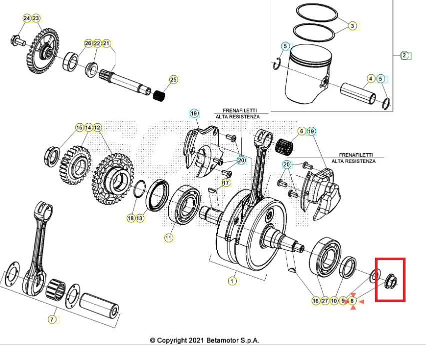 NUT BETA ORJ YP B5