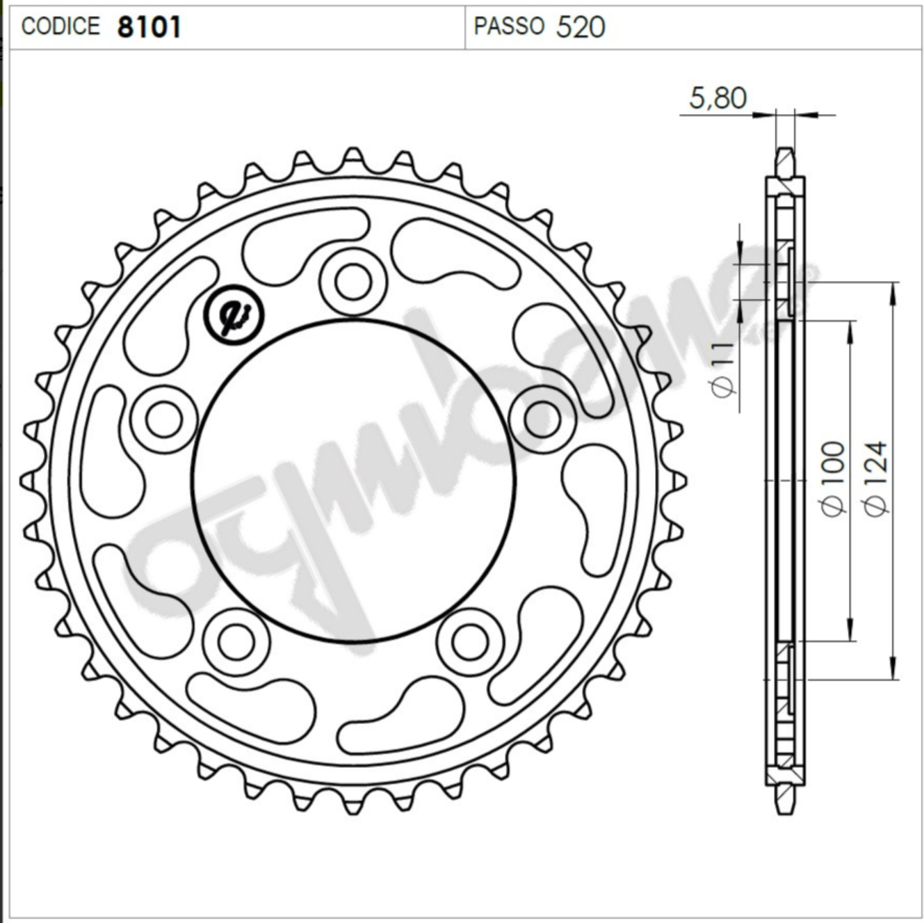 OGNIBENE ARKA DİŞLİ 44T