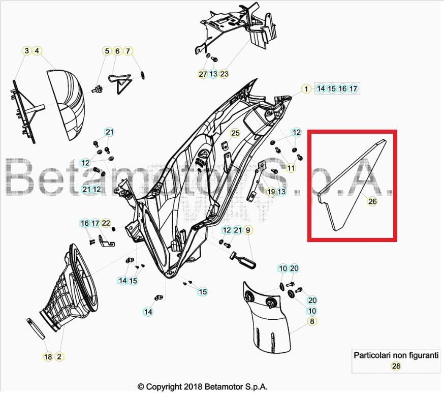 SPONGE  BETA ORJ YP B1