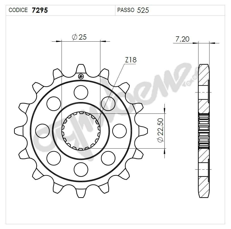 TRIUMPH 1200 OGNIBENE ÖN DİŞLİ 17T