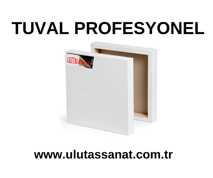 Tuval P 25 x 25 cm  x 4 Adet