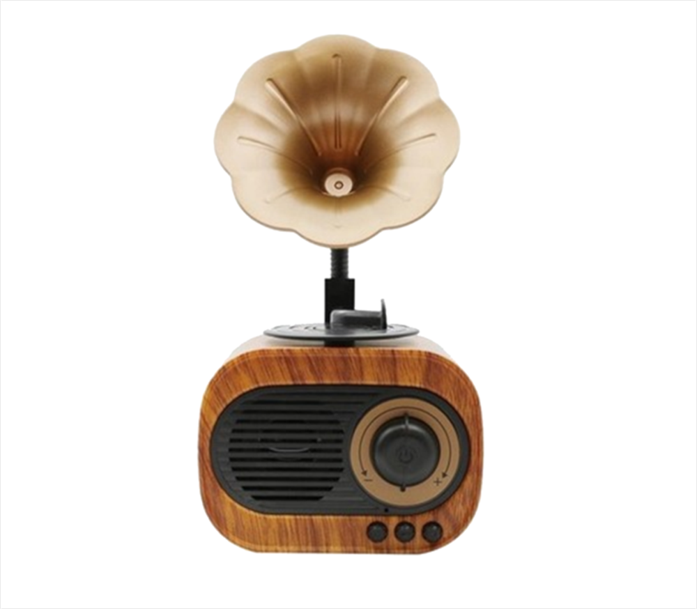 B5 NOSTALJİK MİNİ GRAMAFON RADYO
