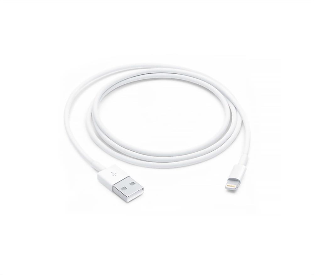 CH-02 LİGHTNİNG USB KABLO (MODA)