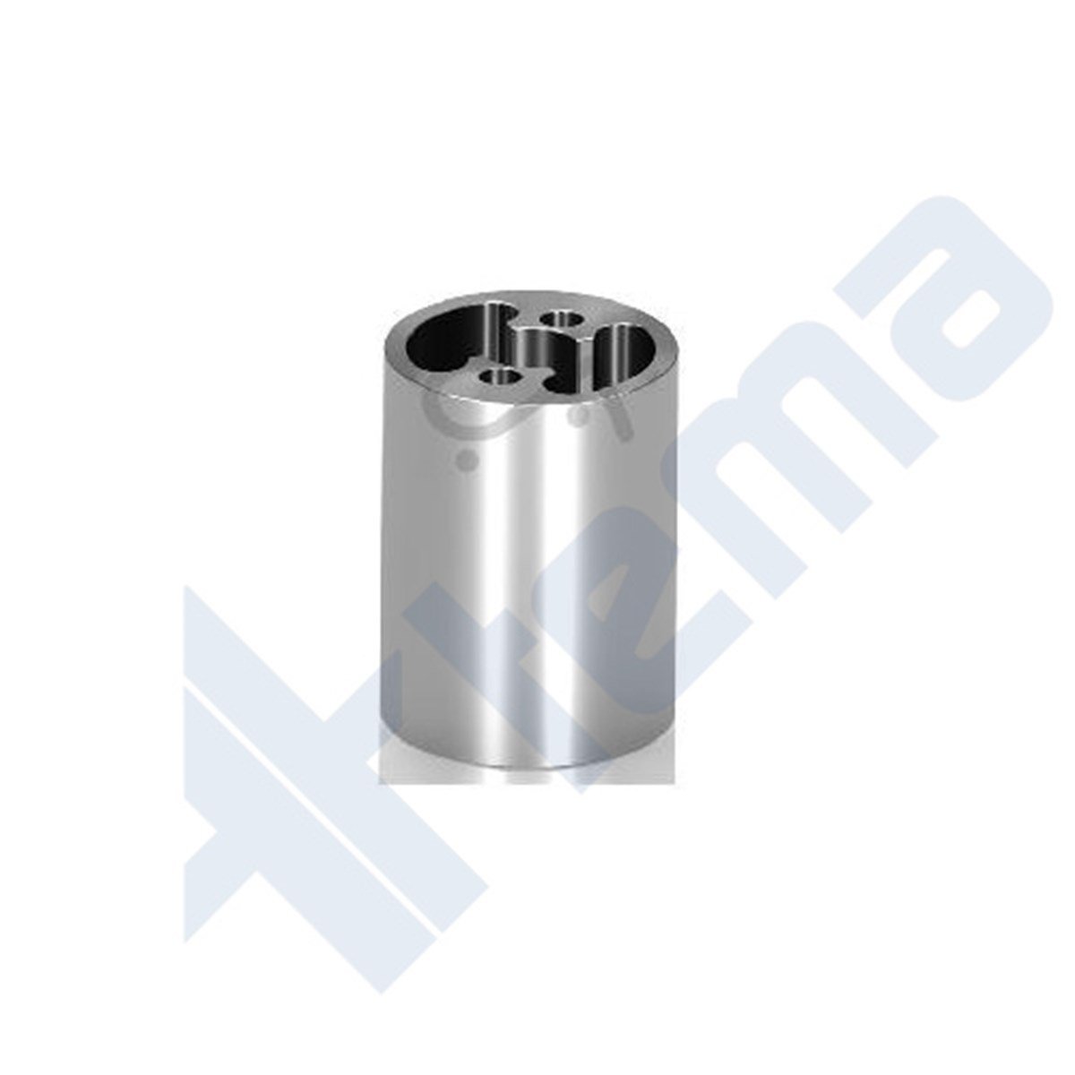 DOLU TAKOZU 50 LİK (1) AD