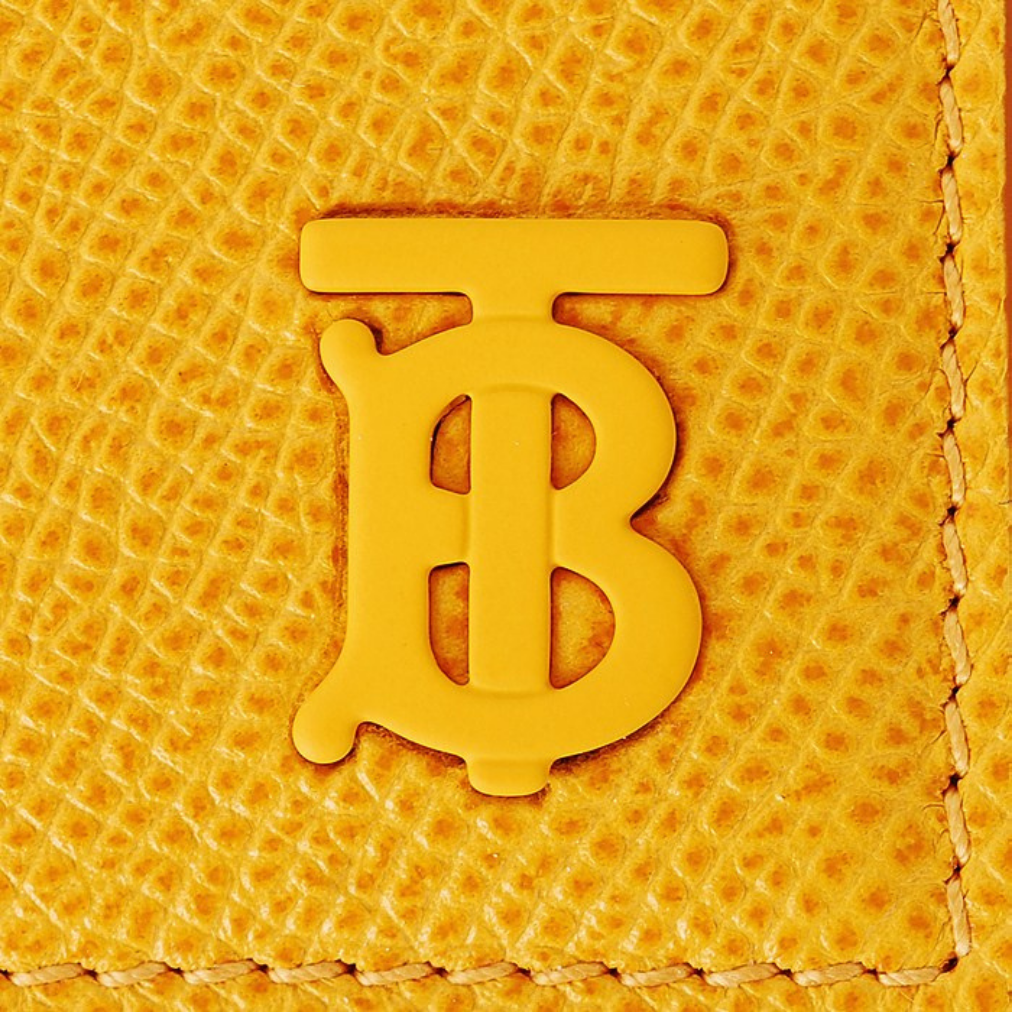 Burberry Sandon TB Logolu Kartlık 8065711