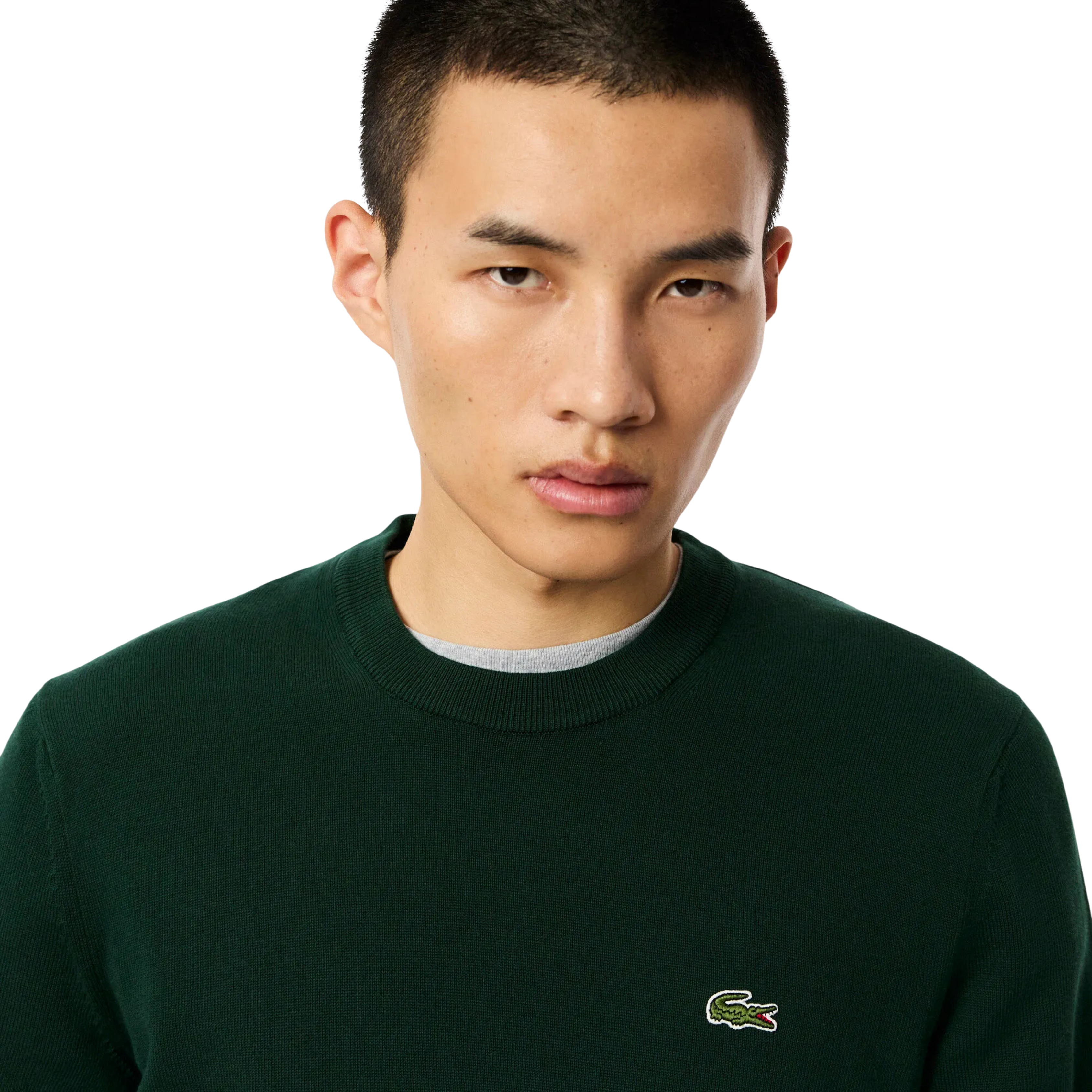 Lacoste Erkek Regular Fit Bisiklet Yaka Organik Pamuk Koyu Yeşil Kazak AH1985.YZP