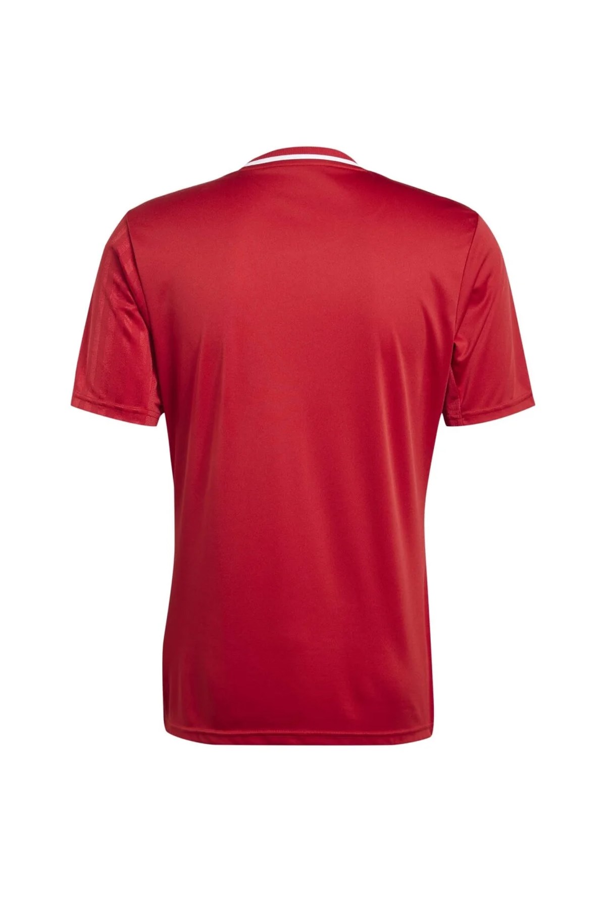 Adidas Erkek Futbol Forma Campeon25 Jsy M Jf6058