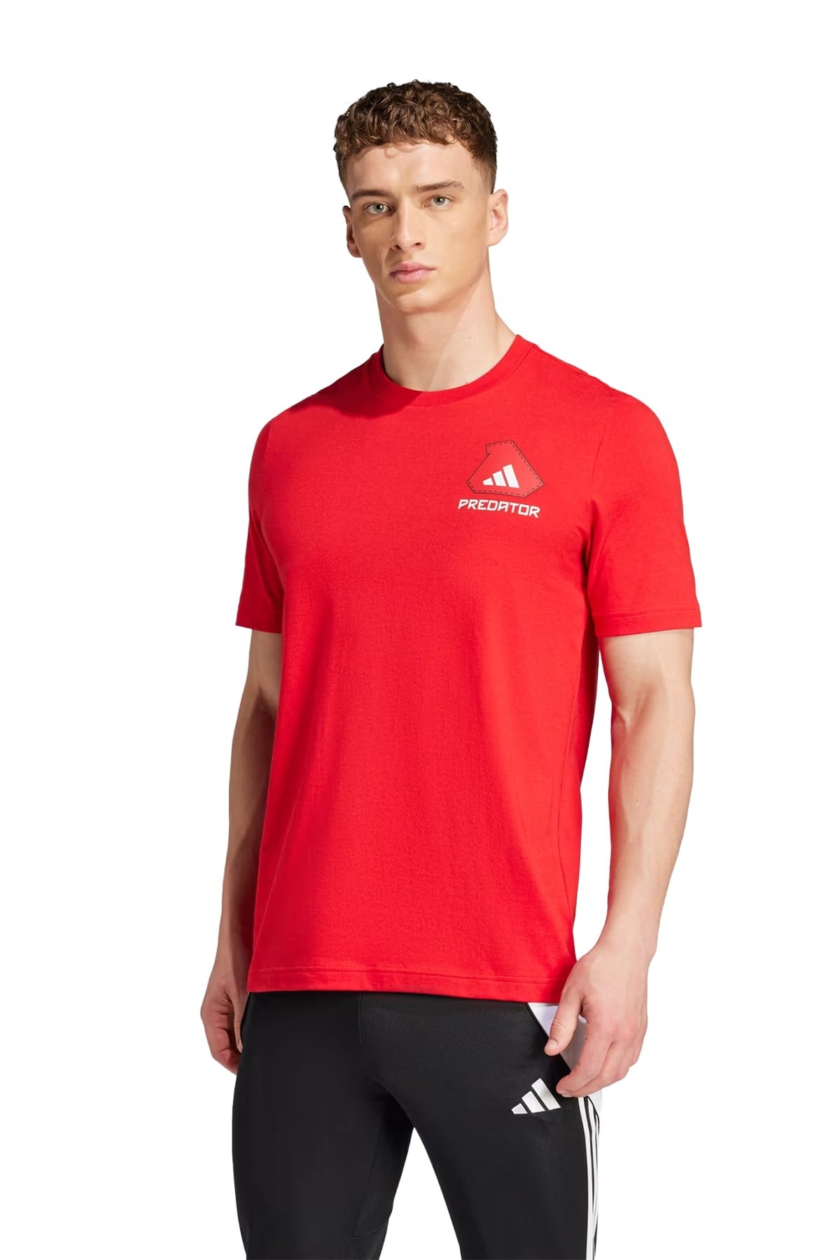 Adidas Erkek Tişört Predator History Graphic JD8218