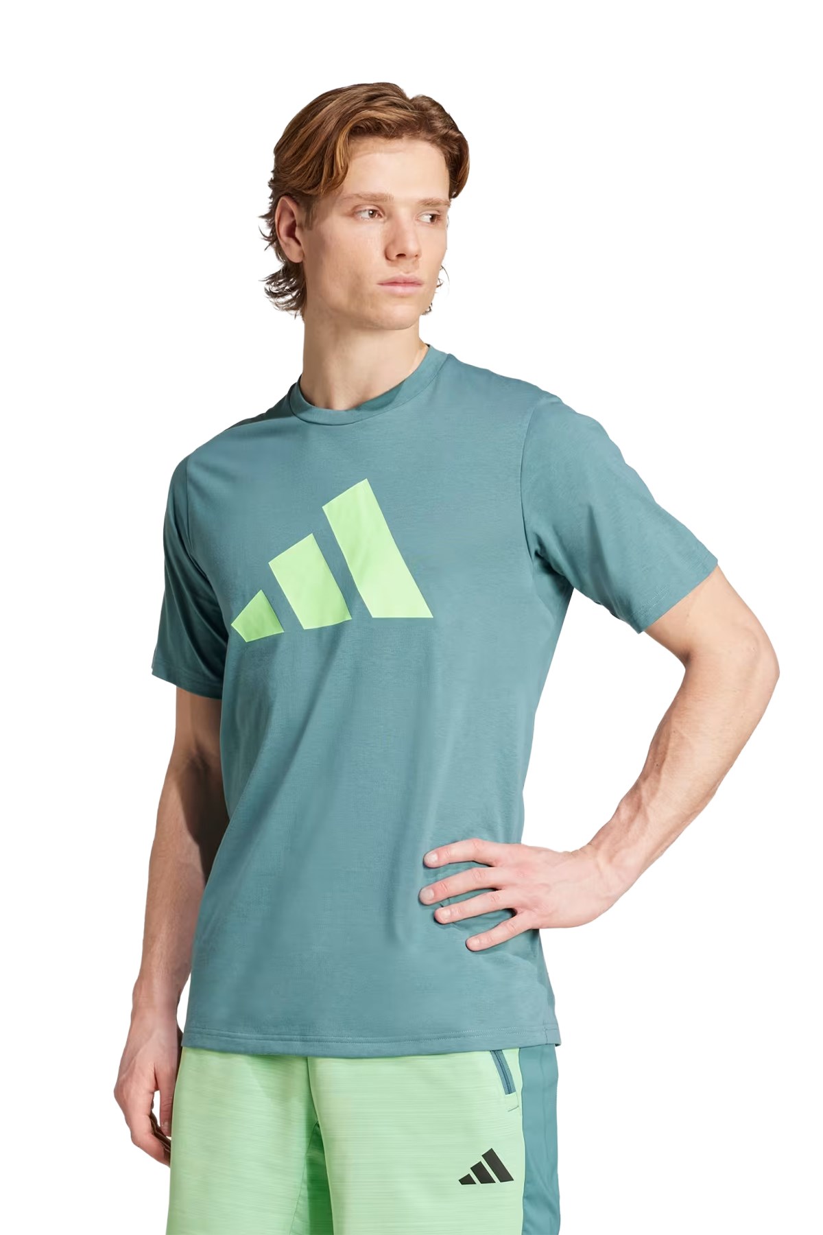 Adidas Erkek Tişört Tr-Es Fr Logo T JW7403