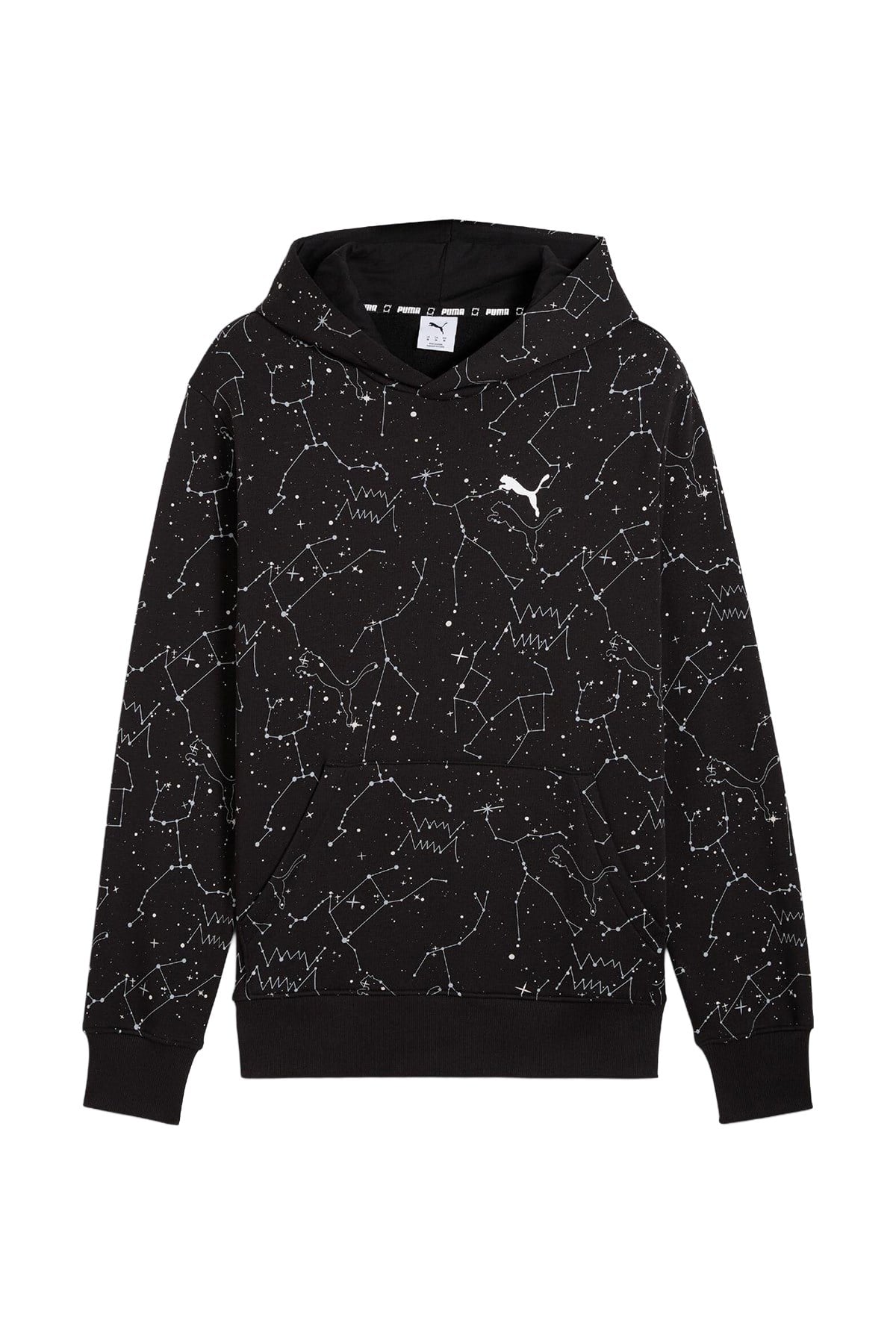 Puma Erkek Sweatshirt Hoopaverse Pullover Hoodie 63290902