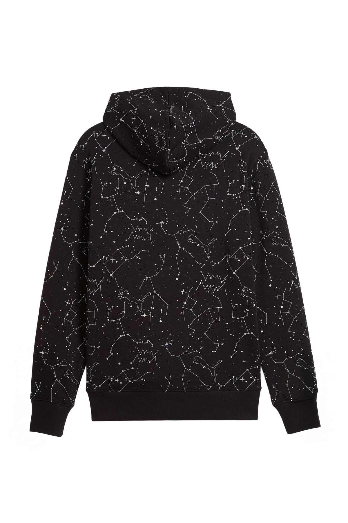 Puma Erkek Sweatshirt Hoopaverse Pullover Hoodie 63290902