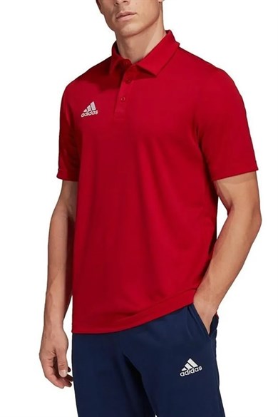 Adidas Erkek Polo Yaka Spor T-shirt Ent22 Polo H57489