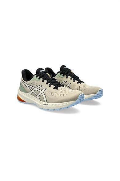 Asics Erkek Koşu Ayakkabısı GT-1000 12 Tr 1011B761-250