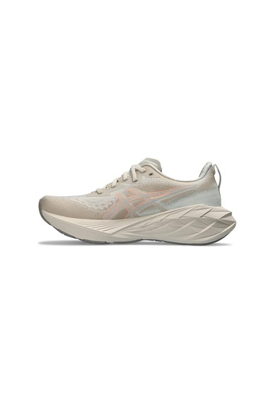 Asics Kadın Koşu Ayakkabısı Novablast 4 1012B510-250