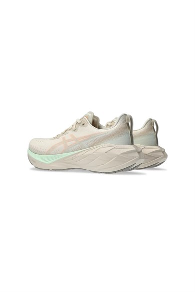 Asics Kadın Koşu Ayakkabısı Novablast 4 1012B510-250