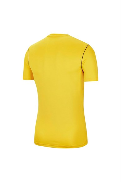Nike Erkek Tişört M Nk Dry Park20 Top Ss Bv6883-719