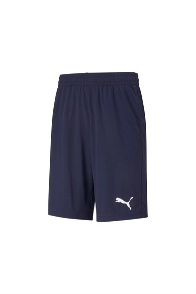 Puma Erkek Antreman Şortu Active Interlock Shorts 58672901
