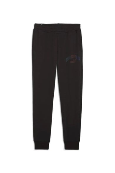 Puma Erkek Eşofman Altı ESS+ LOGO LAB Gradient TR cl 68250501