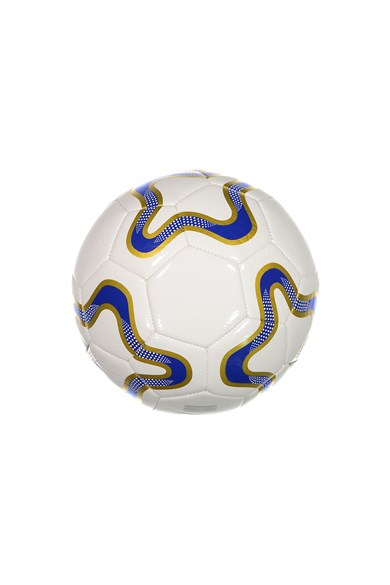 Selex Futbol Topu Target 5 No