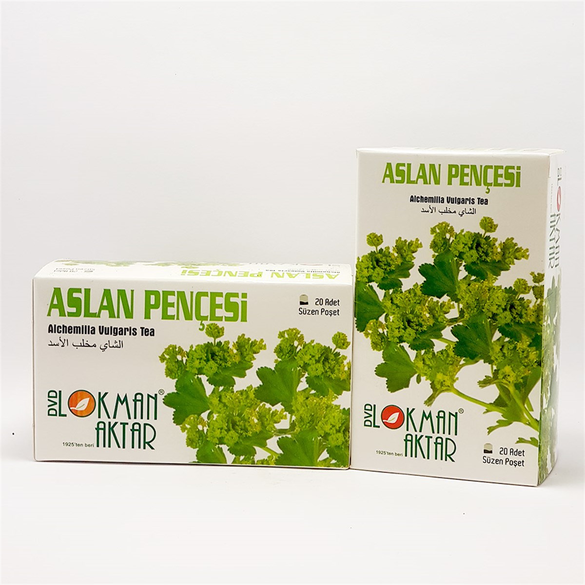 DVD Aslan Pençesi 40gr