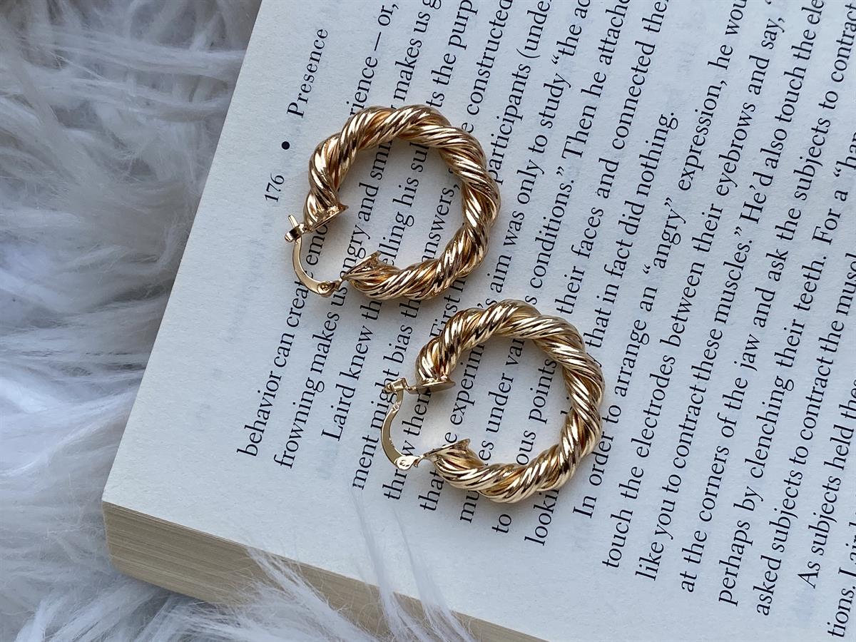 Çelik İnce Burgu Halka Küpe 