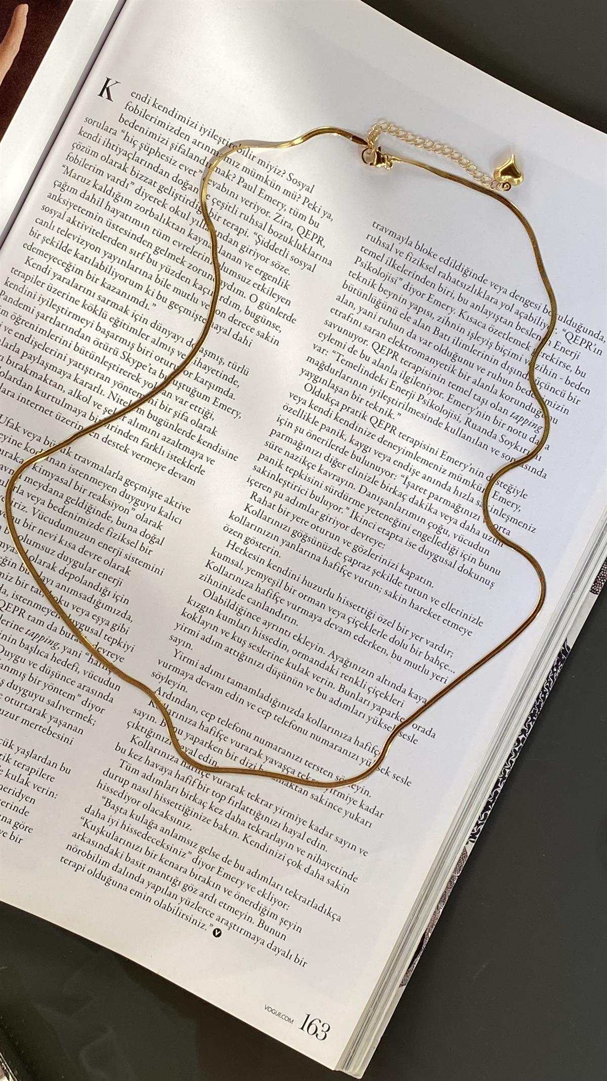 Gold Balık Sırtı İnce Kolye