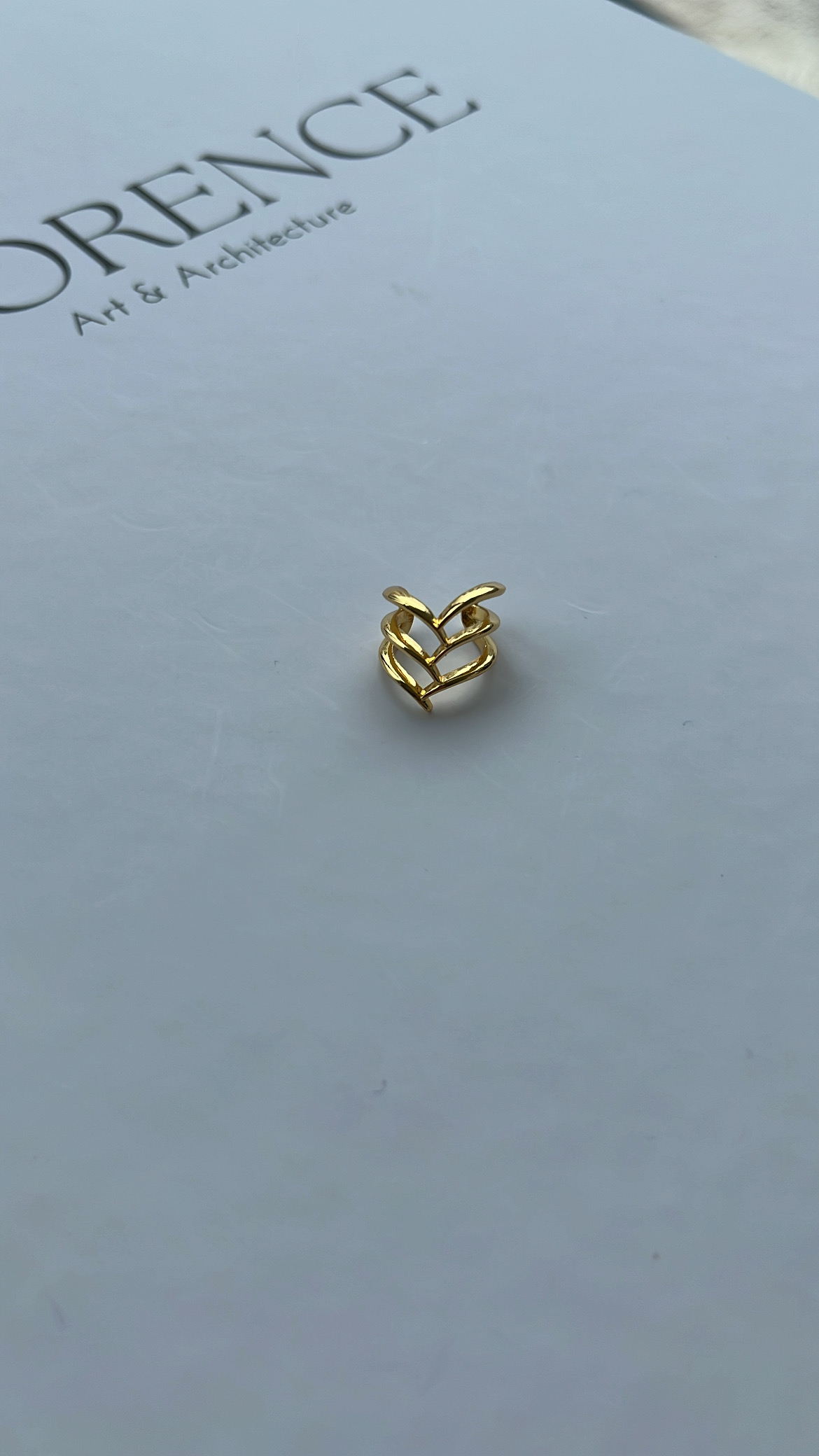 Gold Sarmaşık Model Sıkıştırılabilir Kıkırdak Küpe