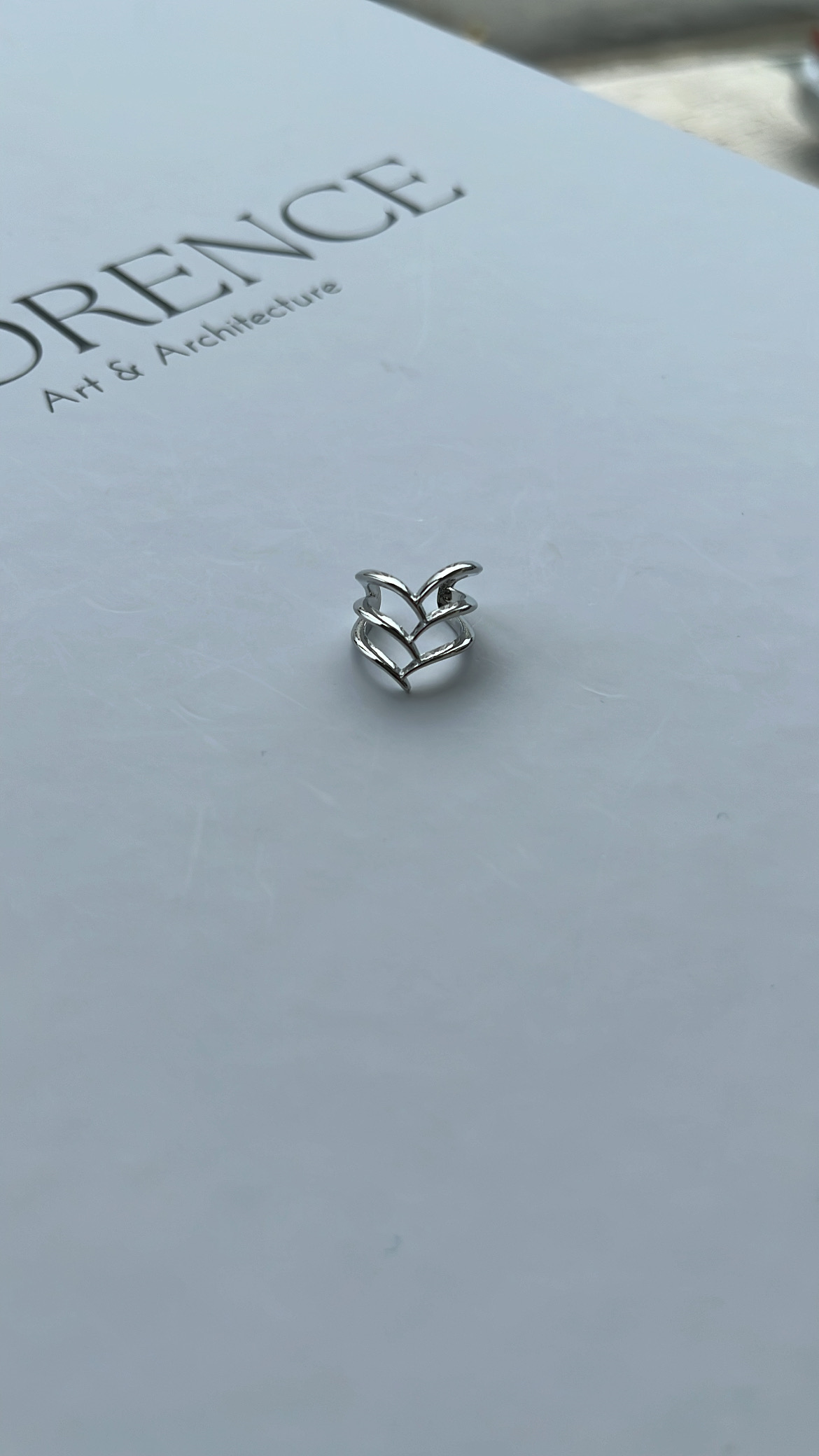 Silver Sarmaşık Model Sıkıştırılabilir Kıkırdak Küpe