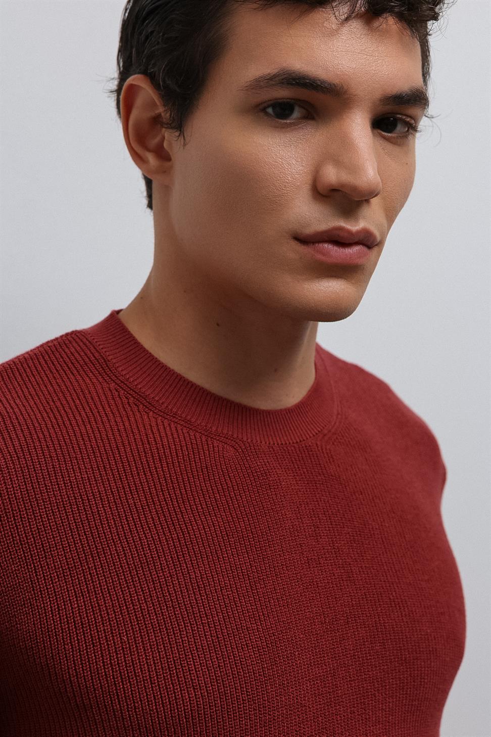 Antioch Açık Bordo Dokulu Erkek Kazak