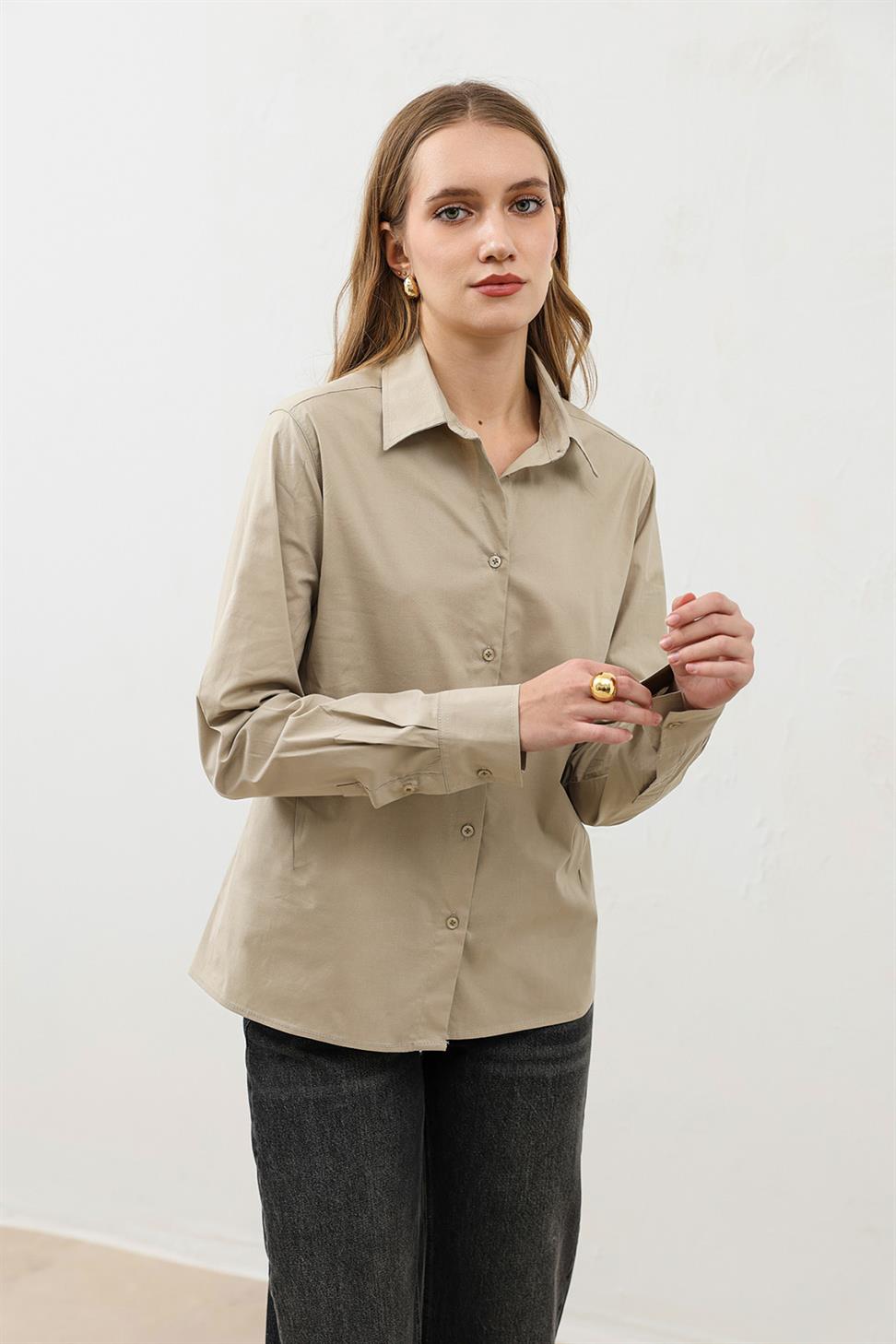 Basic Slim Fit Womens Shirt