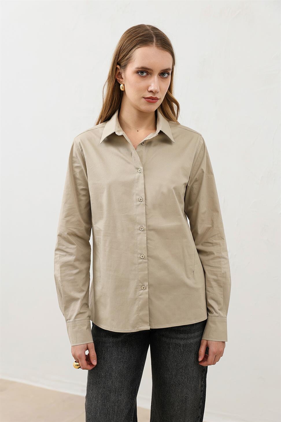Basic Slim Fit Womens Shirt