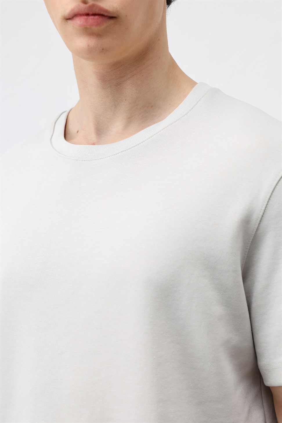 Antioch Buz Gri Regular Fit Basic Erkek T-Shirt