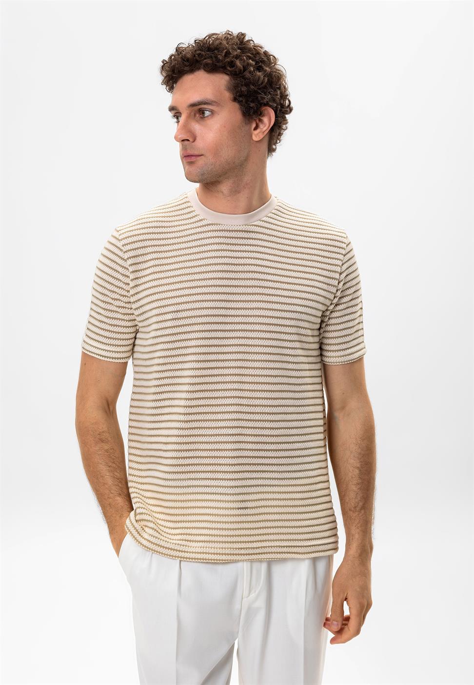 مخطط تي شيرت