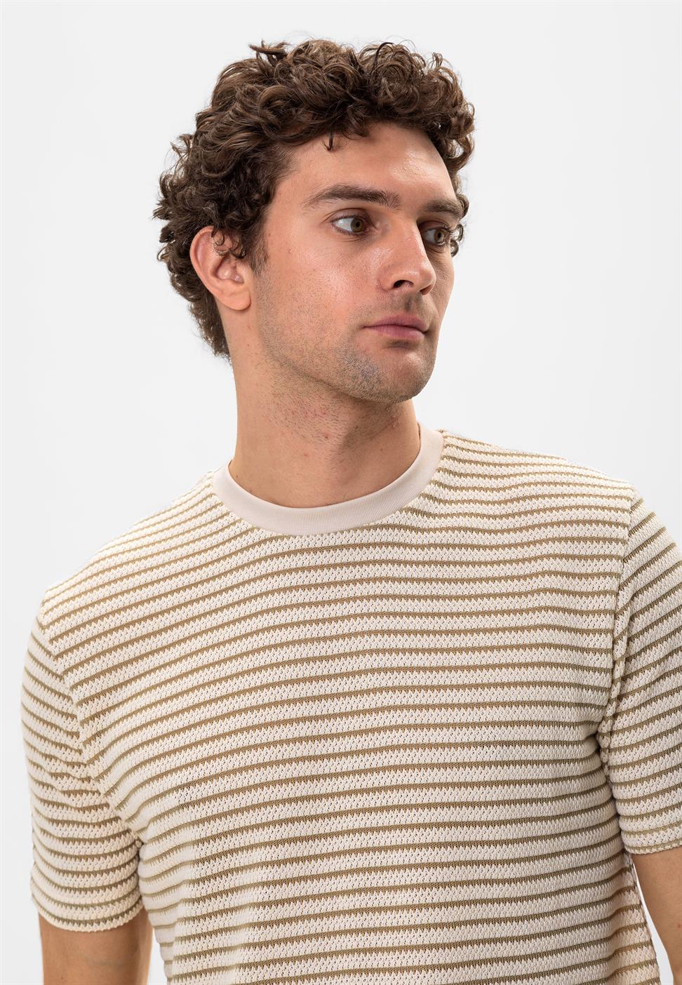 مخطط تي شيرت