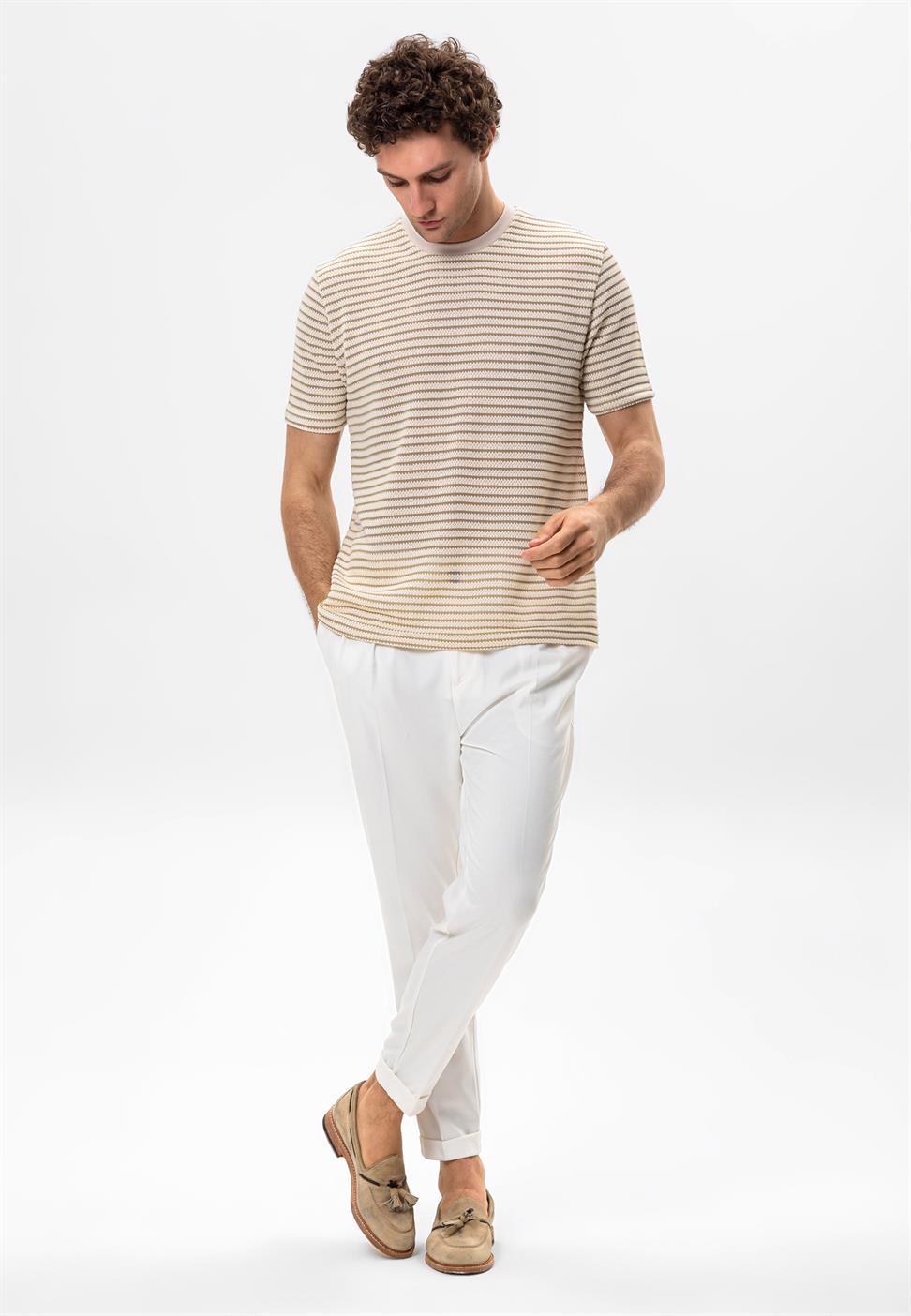 مخطط تي شيرت