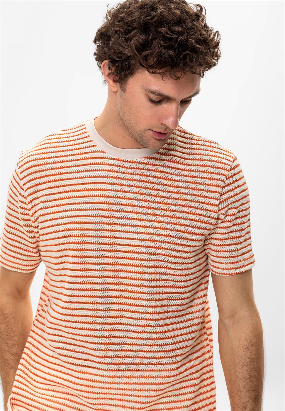 مخطط تي شيرت