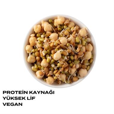 Fermante Salata Miks 3lü Paket