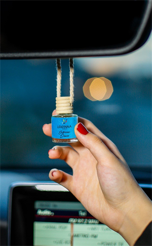 African Dance Parfümlü Oto Kokusu 5x10 ml