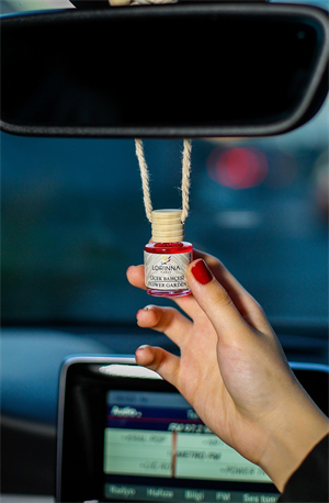 Çiçek Bahçesi Oto Kokusu 5x10 ml