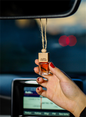 Çiçek Bahçesi Oto Kokusu 5x8 ml