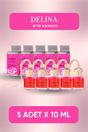 Delina Parfümlü Oto Kokusu 5x10 ml