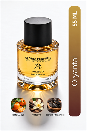 Pi 55 ml Edp Erkek Parfüm
