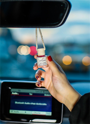 Tatlı Sakız Oto Kokusu 5x10 ml